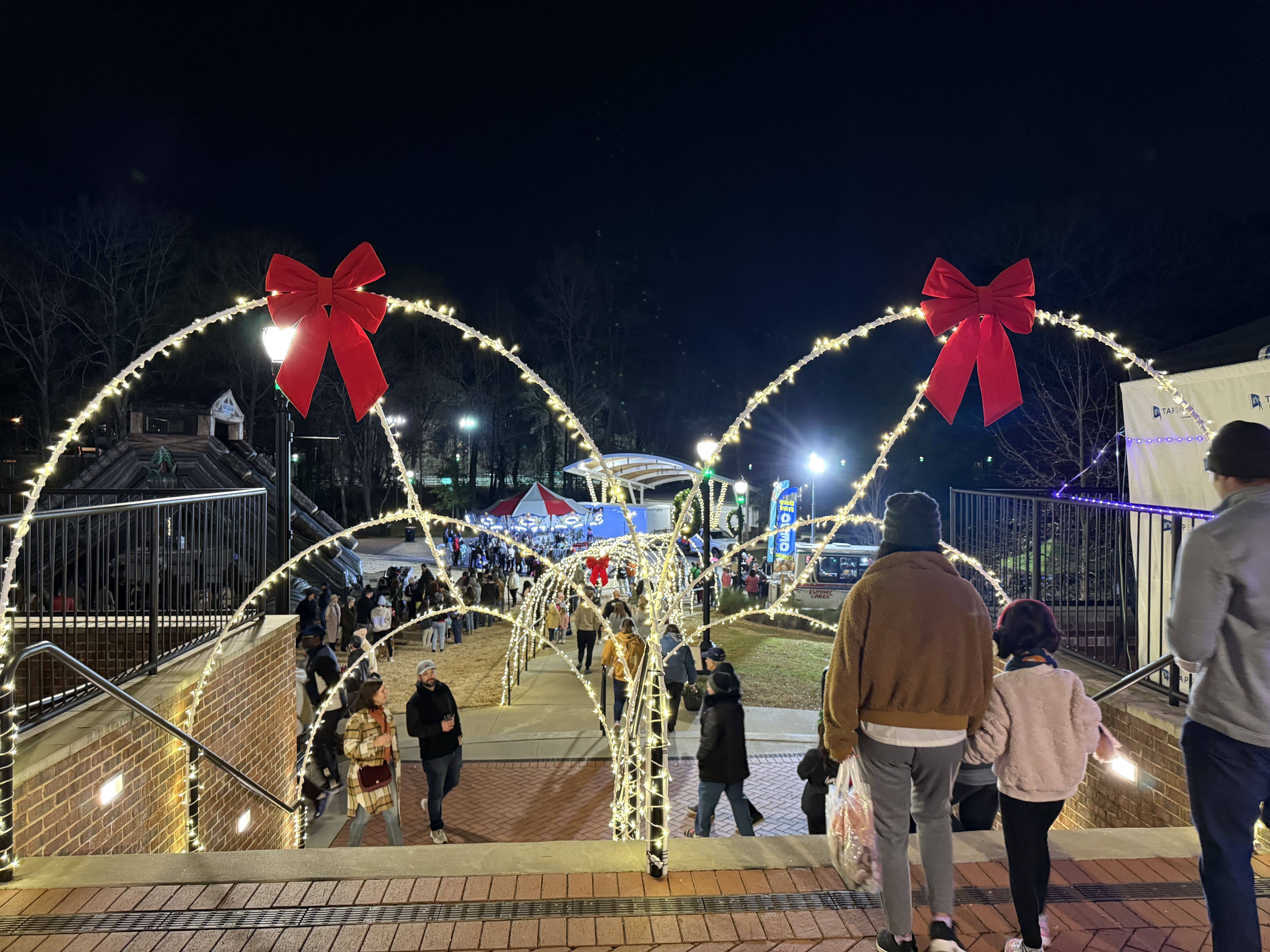 Commercial Christmas Light Installation Greenville, SC