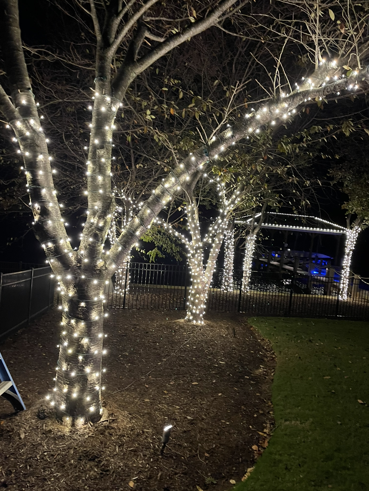 Landscape Lighting Greenville, SC