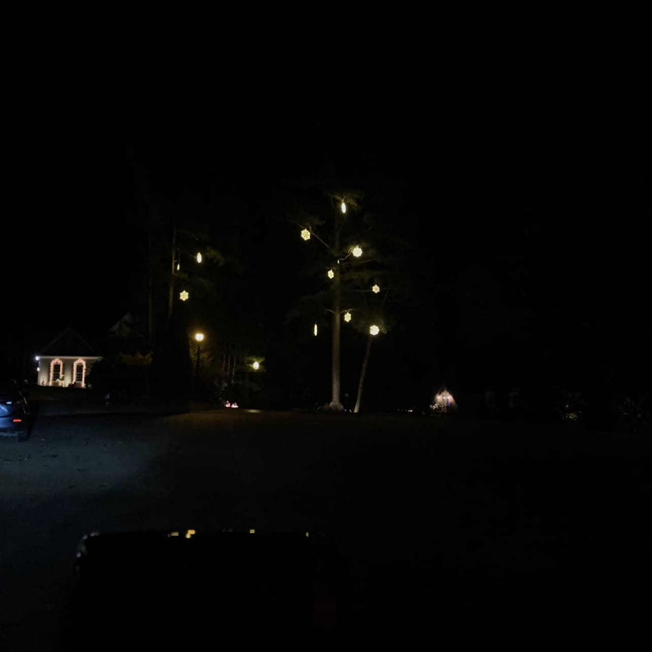 Landscape Lighting Greenville, SC