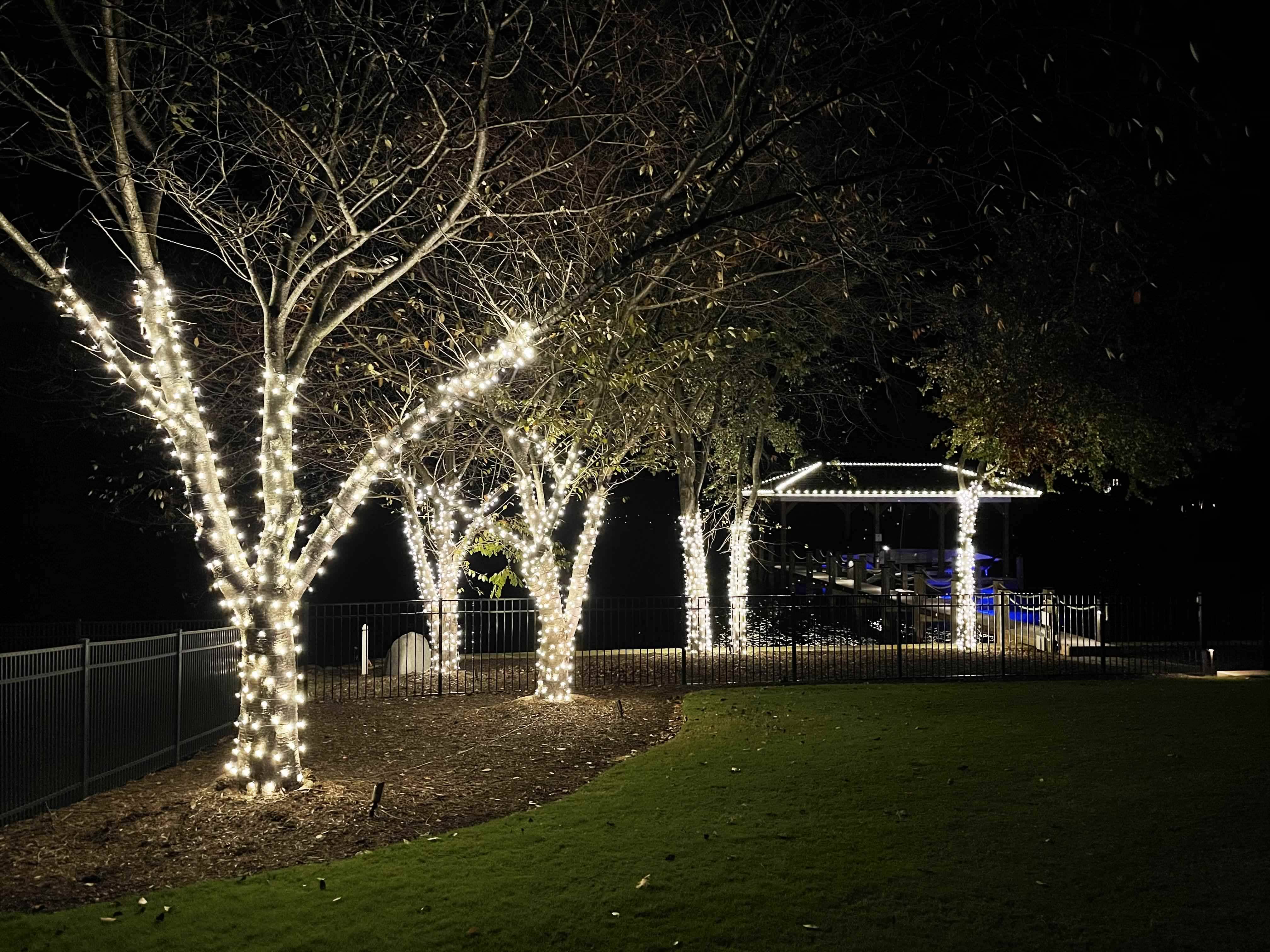 Christmas Light Installation Clemson, SC