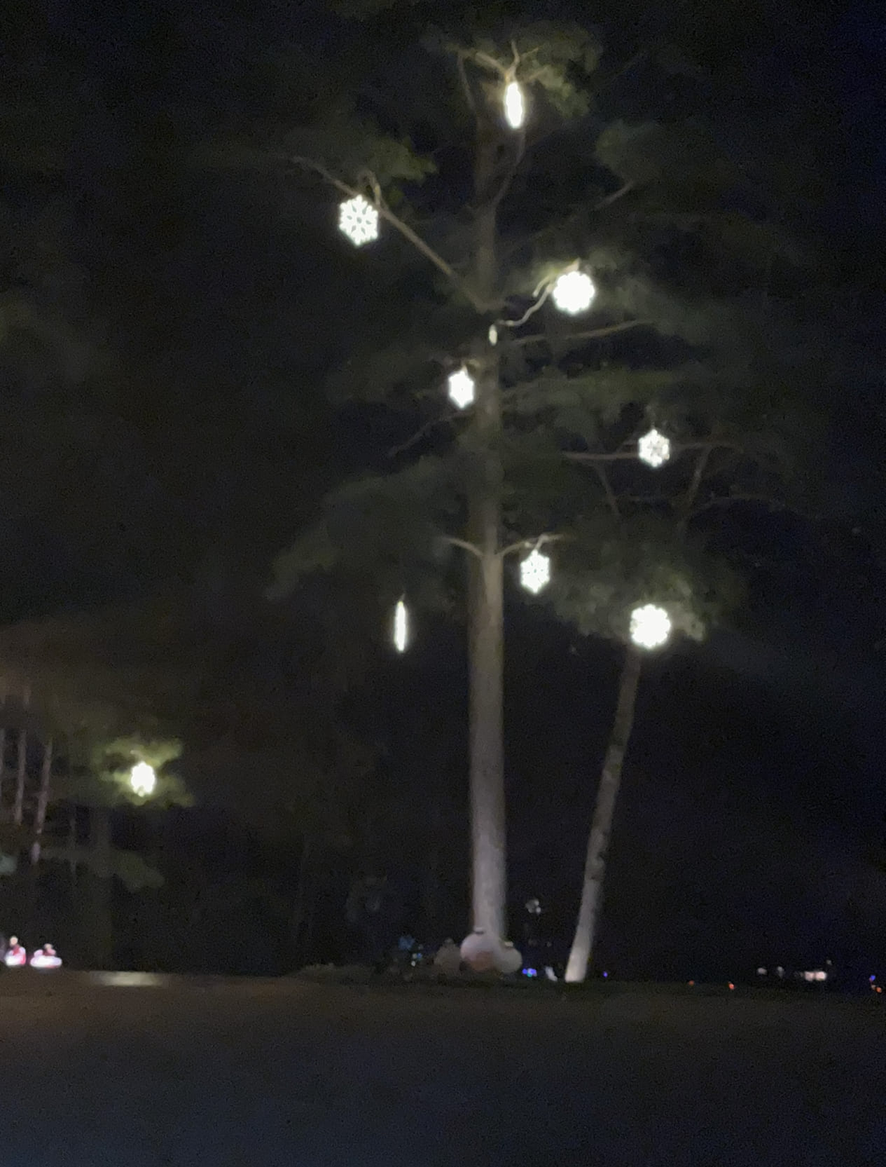 Christmas Light Installation Greer, SC