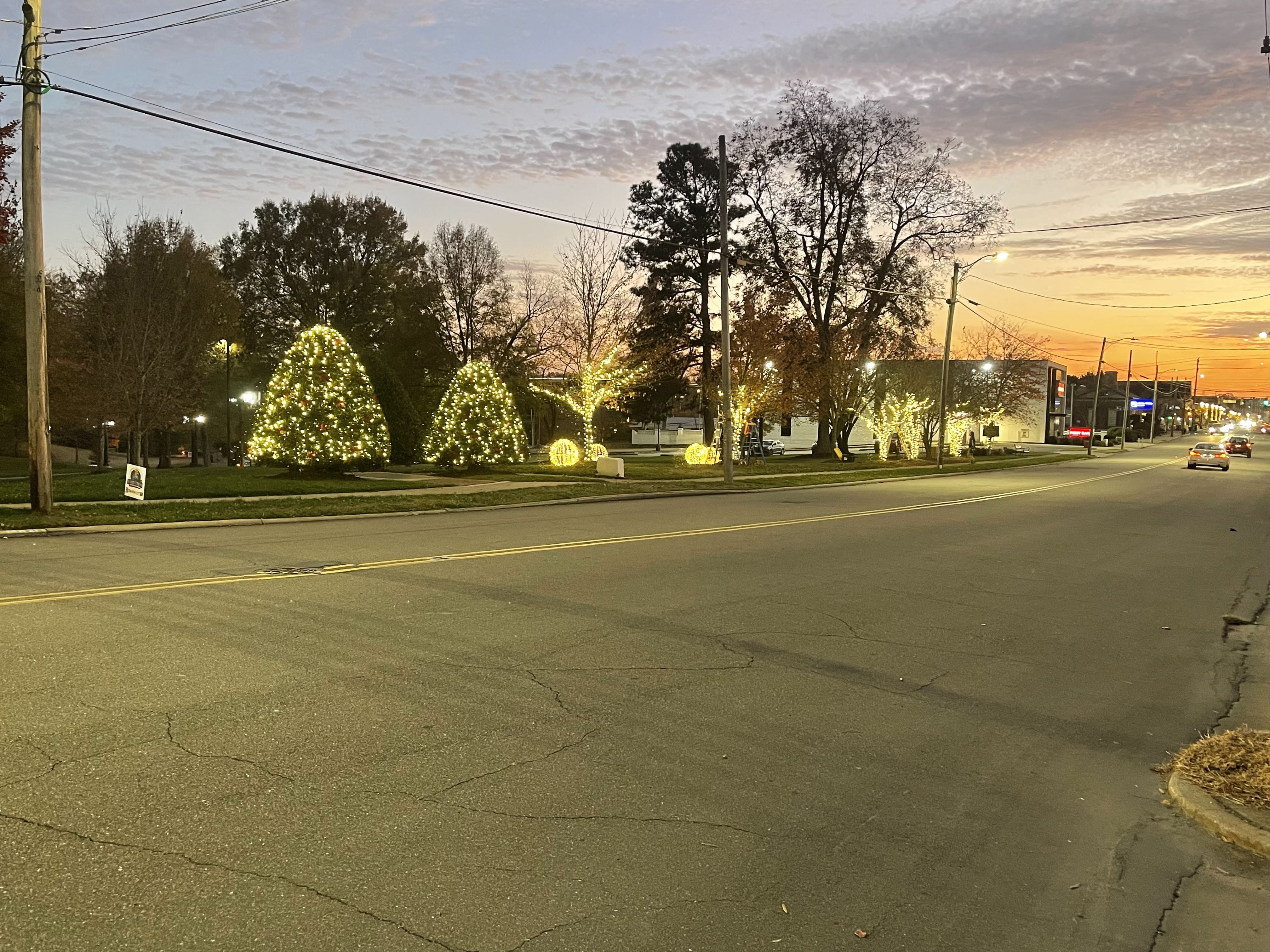 Christmas Light Installation Taylors, SC